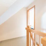 Rosenweg 16 4 דירה *